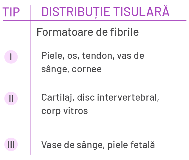 Tipuri de colagen
